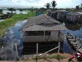 Período de cheias Rio Negro AM 