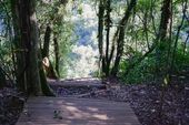 Gruta N Sa Lourdes 