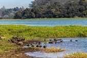 Parque Natural Municipal Bororé 