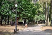 Parque da Luz em SP 