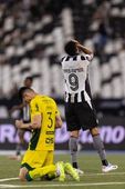 Botafogo x Mirassol 