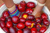 Fruto buriti 