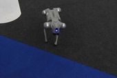 Cachorro robô 