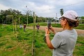 Plantio de arvores OAB Ambiental 