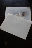 Papel de carta colecionável 