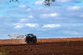 Trator agrícola realiza plantio 