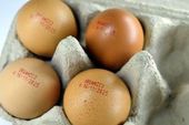 Ovos orgânicos 
