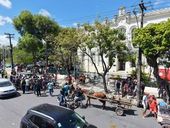 Protesto dos carroceiros no Recife 