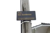 Placas de rua com nome de flores e árvores 