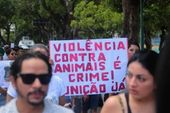 Manifestação pela morte do cão Orelha 