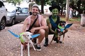 Carnaval dos cachorros 
