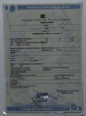 Certidão de nascimento 