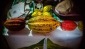 Feira Natural 