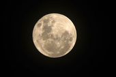 Lua cheia das Flores Curitiba 
