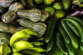 Alimentos feira agroecológica de Marília 