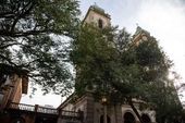 Dia de Nossa Senhora de Fátima 