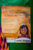 Povos Indigenas exposição manifestação 