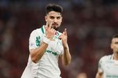 Flamengo x Palmeiras 