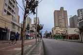 Av Sete de Setembro em Curitiba 