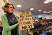 Consema Audiencia Publica Artesano 
