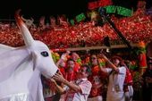 Festival de Parintins 2026 
