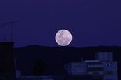 Lua de Morango 