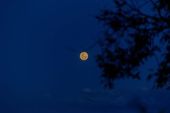 Lua de Morango em Socorro 