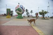 Bola Trionda exposta em av de Fortaleza 