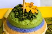 VIII Concurso de Gastronomia PANC 