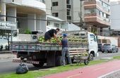 Mobilidade entre Vila Velha e Vitória 