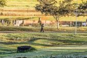 Pelo segundo dia temperatura cai no PR 