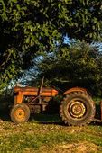 Trator agrícola antigo e desgastado 