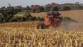 Colheita de milho safrinha no Paraná 