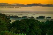 Nascer do dia neblina Banhado Limoeiro 