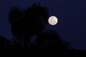 Lua iluminada com 99 por cento 