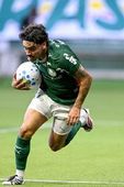 Palmeiras x Atlético MG 