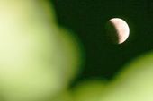 ECLIPSE LUNAR EM ALAGOAS 
