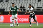BOTAFOGO X PALMEIRAS 