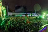 Coala Festival em São Paulo 
