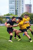 Virada Esportiva São Paulo 2026 