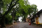 Chuva e nebulosidade marcam domingo em SP 